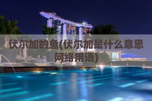 伏尔加的鱼(伏尔加是什么意思网络用语)