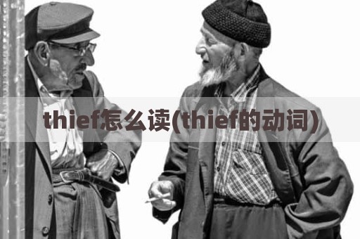 thief怎么读(thief的动词)