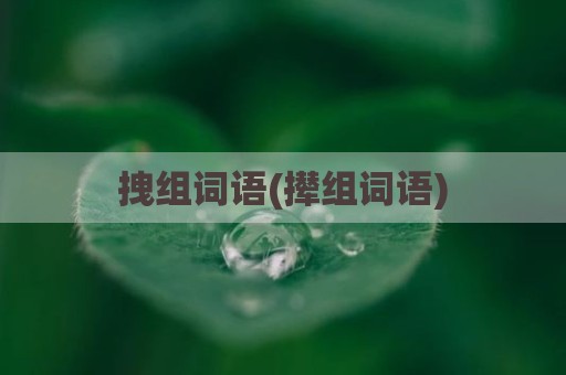 拽组词语(撵组词语)
