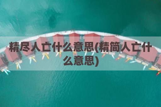 精尽人亡什么意思(精简人亡什么意思)