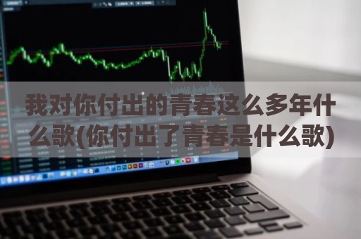 我对你付出的青春这么多年什么歌(你付出了青春是什么歌)