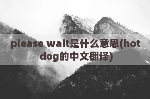please wait是什么意思(hot dog的中文翻译)