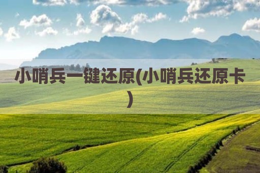 小哨兵一键还原(小哨兵还原卡)