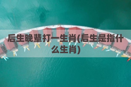 后生晚辈打一生肖(后生是指什么生肖)