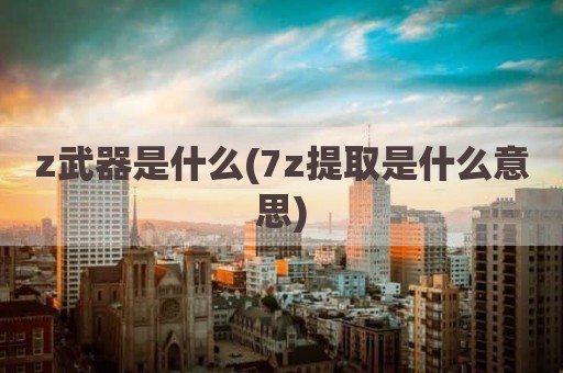 z武器是什么(7z提取是什么意思)