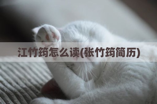 江竹筠怎么读(张竹筠简历)