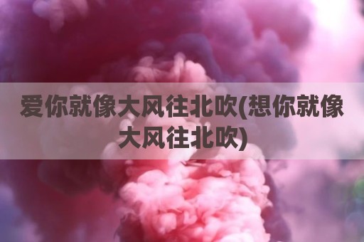 爱你就像大风往北吹(想你就像大风往北吹)