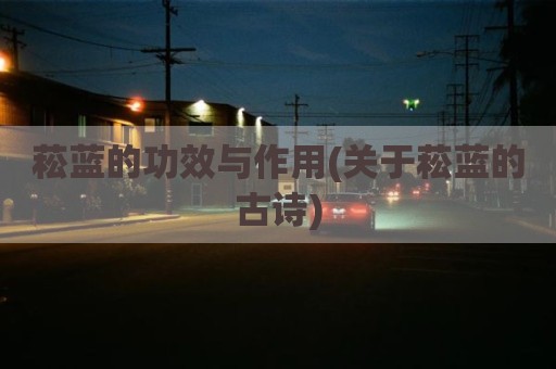 菘蓝的功效与作用(关于菘蓝的古诗)