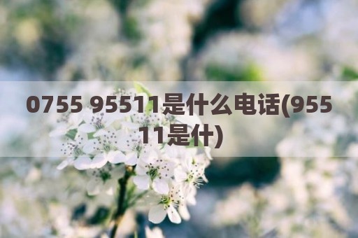 0755 95511是什么电话(95511是什)