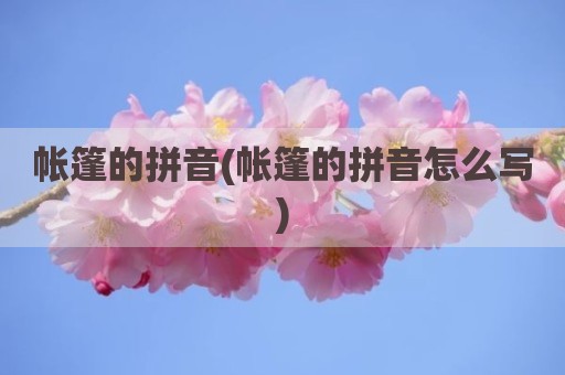 帐篷的拼音(帐篷的拼音怎么写)