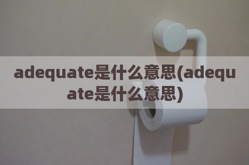 adequate是什么意思(adequate是什么意思)