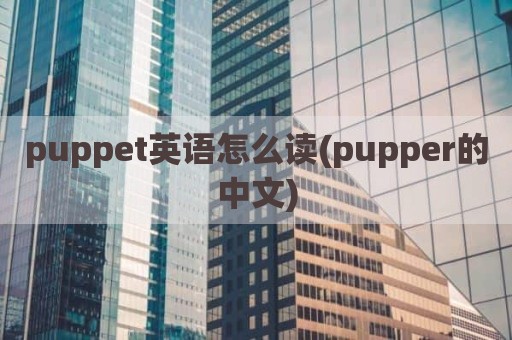 puppet英语怎么读(pupper的中文)