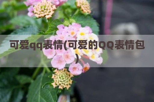 可爱qq表情(可爱的QQ表情包)