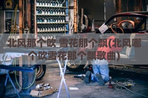 北风那个吹 雪花那个飘(北风哪个吹雪花那个飘歌曲)