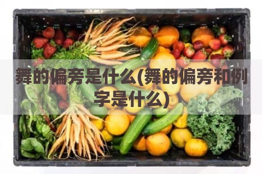舞的偏旁是什么(舞的偏旁和例字是什么)