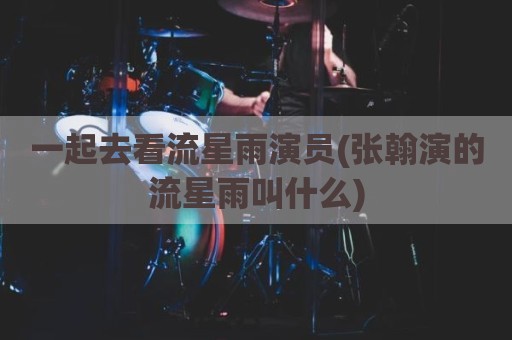 一起去看流星雨演员(张翰演的流星雨叫什么)