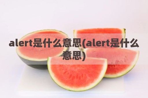 alert是什么意思(alert是什么意思)