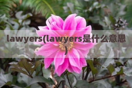 lawyers(lawyers是什么意思)