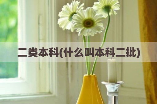 二类本科(什么叫本科二批)