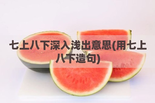 七上八下深入浅出意思(用七上八下造句)