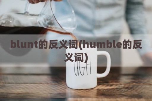 blunt的反义词(humble的反义词)