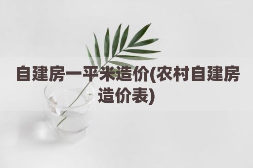 自建房一平米造价(农村自建房造价表)