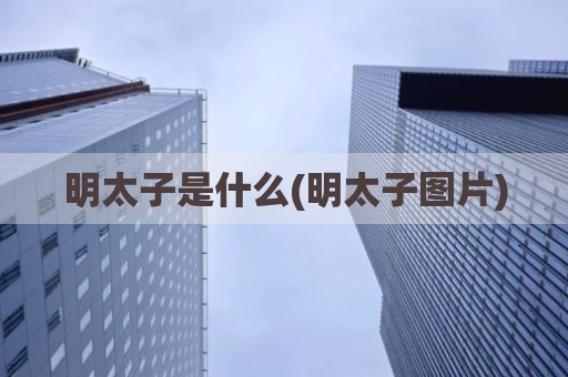 明太子是什么(明太子图片)