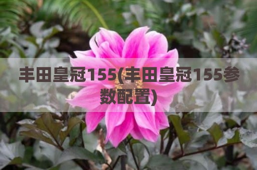 丰田皇冠155(丰田皇冠155参数配置)