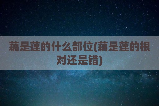 藕是莲的什么部位(藕是莲的根对还是错)
