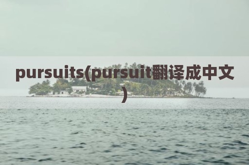 pursuits(pursuit翻译成中文)