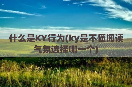 什么是KY行为(ky是不懂阅读气氛选择哪一个)
