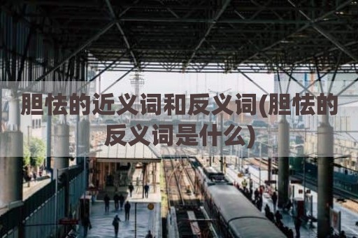 胆怯的近义词和反义词(胆怯的反义词是什么)