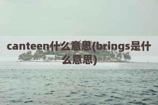 canteen什么意思(brings是什么意思)