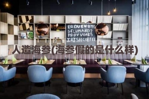 人造海参(海参假的是什么样)