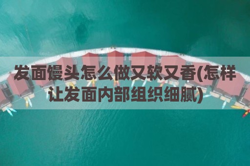 发面馒头怎么做又软又香(怎样让发面内部组织细腻)