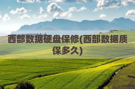 西部数据硬盘保修(西部数据质保多久)