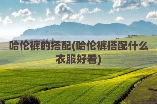 哈伦裤的搭配(哈伦裤搭配什么衣服好看)