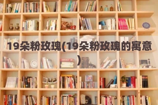 19朵粉玫瑰(19朵粉玫瑰的寓意)
