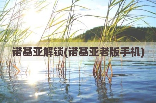 诺基亚解锁(诺基亚老版手机)