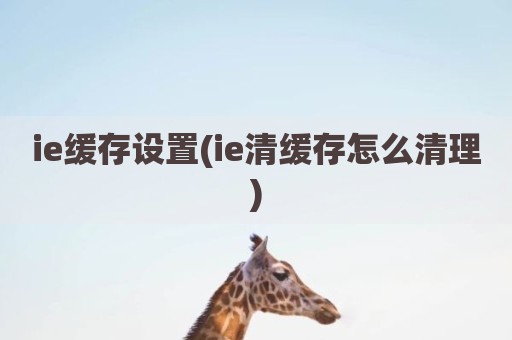 ie缓存设置(ie清缓存怎么清理)