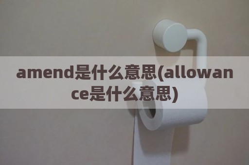 amend是什么意思(allowance是什么意思)