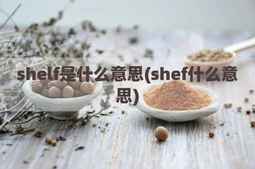 shelf是什么意思(shef什么意思)
