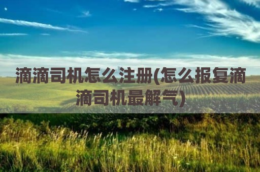 滴滴司机怎么注册(怎么报复滴滴司机最解气)