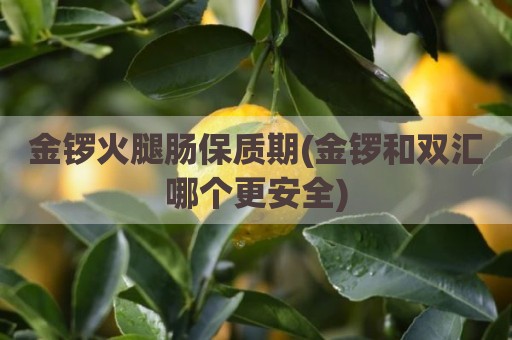 金锣火腿肠保质期(金锣和双汇哪个更安全)