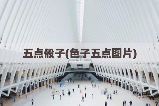 五点骰子(色子五点图片)