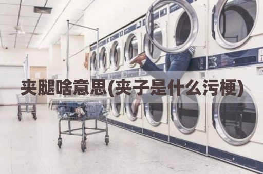 夹腿啥意思(夹子是什么污梗)