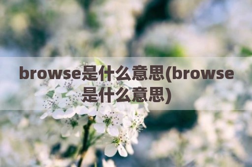 browse是什么意思(browse是什么意思)