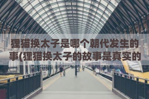 狸猫换太子是哪个朝代发生的事(狸猫换太子的故事是真实的吗)