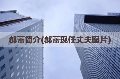 郝蕾简介(郝蕾现任丈夫图片)