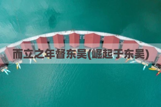 而立之年督东吴(崛起于东吴)
